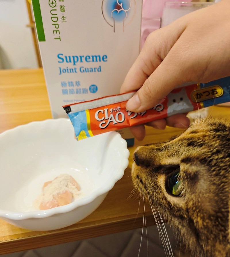 試用
